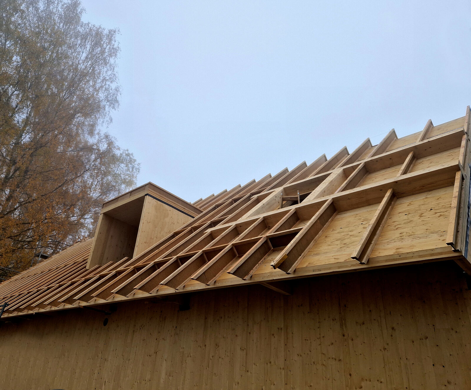 Dakconstructies & houten geraamtes